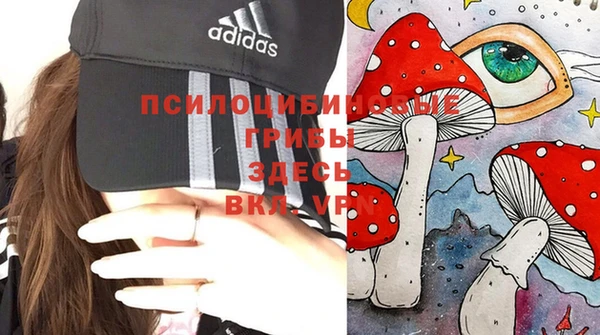 ПСИЛОЦИБИНОВЫЕ ГРИБЫ Армянск