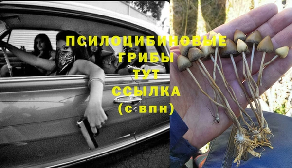 spice Аркадак