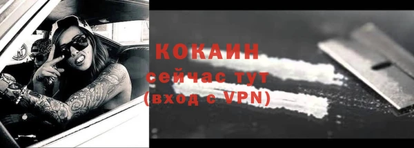 spice Аркадак