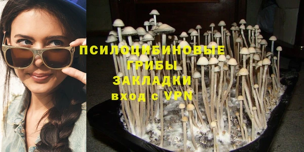 спайс Арсеньев