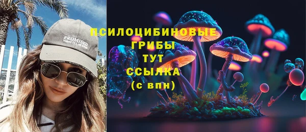 спайс Арсеньев