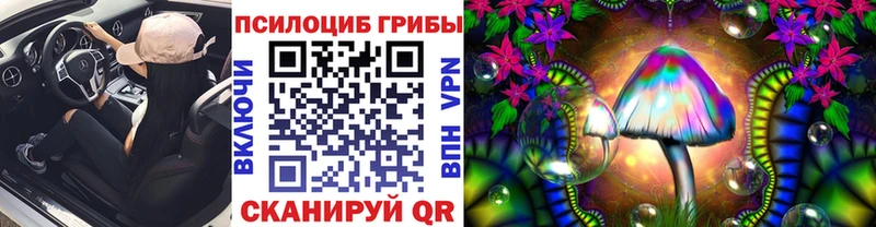 kraken ТОР  Болгар  Псилоцибиновые грибы мицелий 