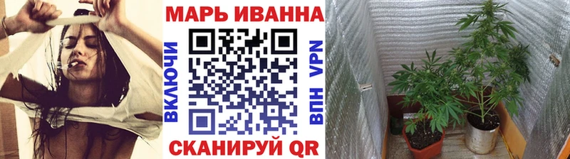 Шишки марихуана сатива  Болгар 