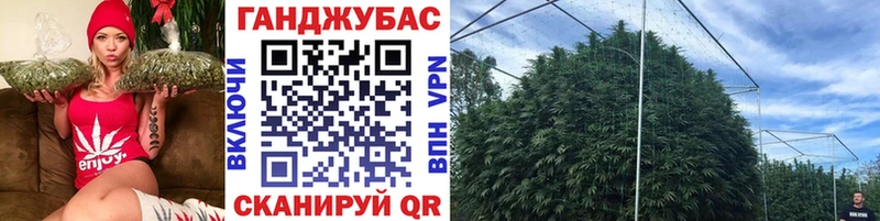 Шишки марихуана семена Болгар